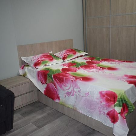 Apartament Parc Central Rhbm Baia Mare Exterior photo