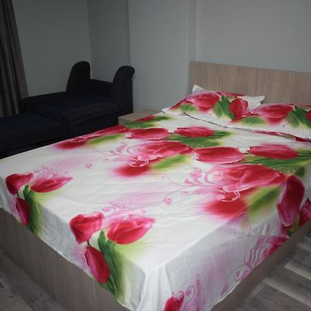 Apartament Parc Central Rhbm Baia Mare Exterior photo