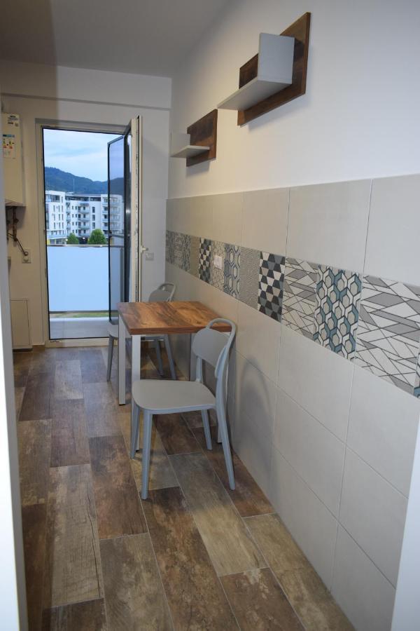 Apartament Parc Central Rhbm Baia Mare Exterior photo